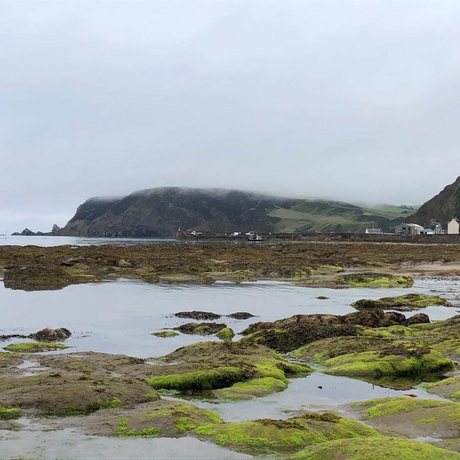 Puffins Nest Villa Gardenstown Exterior photo